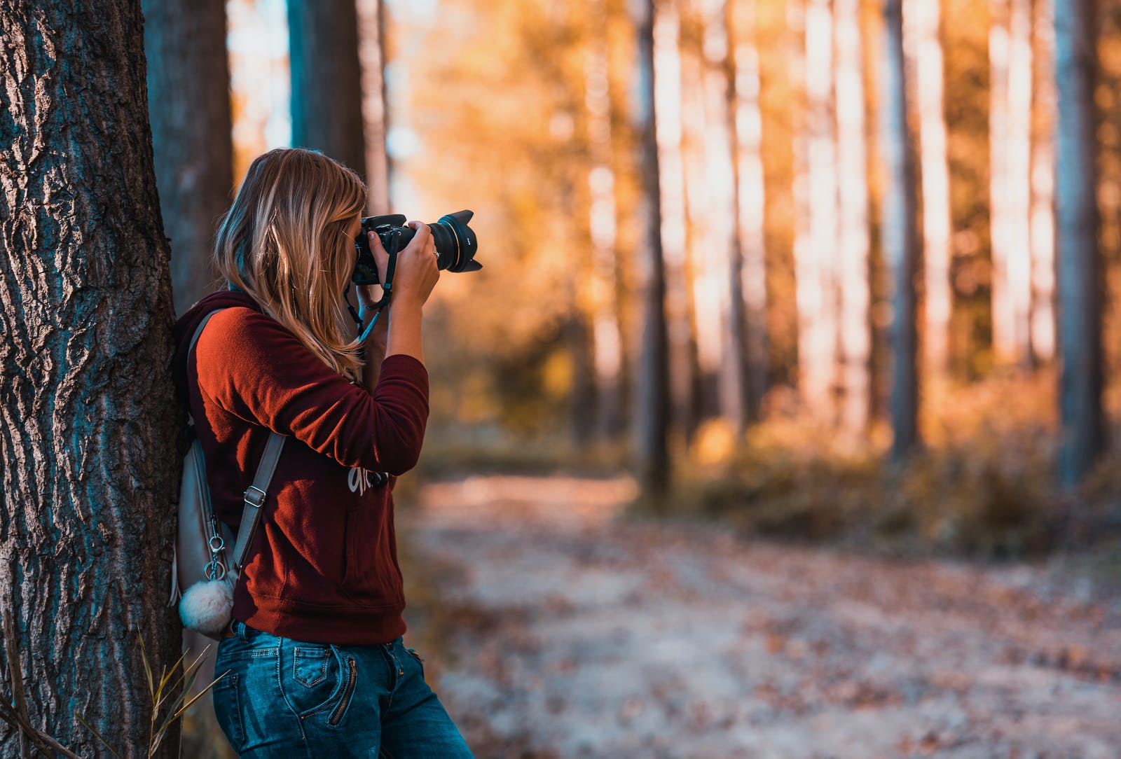 A person takes pictures in an autumn forest.