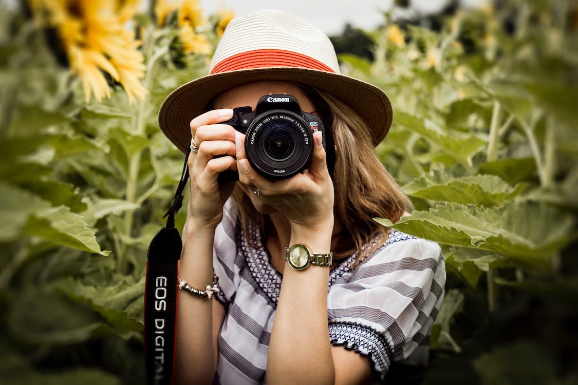 Camera in hand, person taking pictures in front of sunflower field.