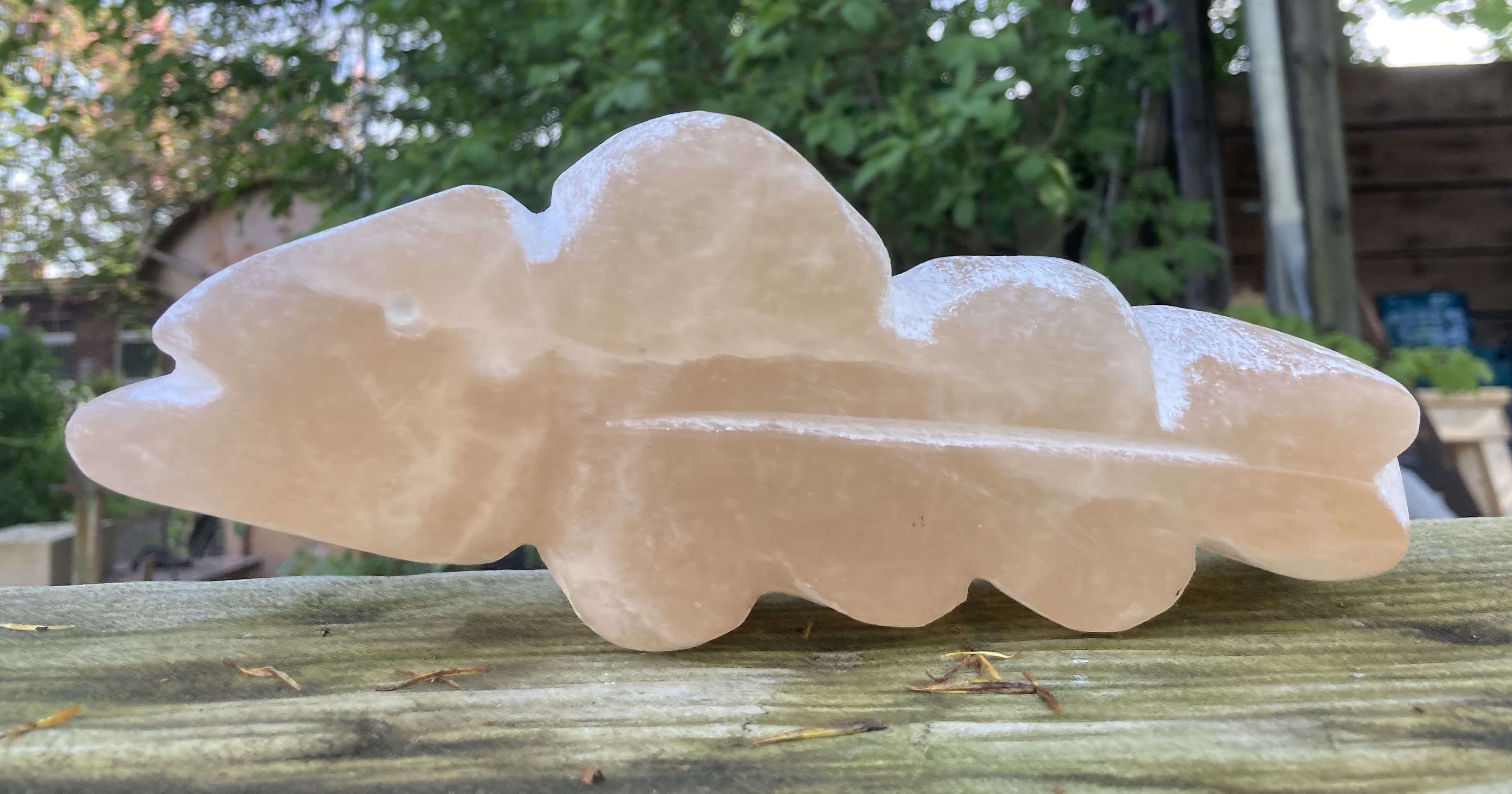Steinfischskulptur auf Holzoberfläche im Freien.