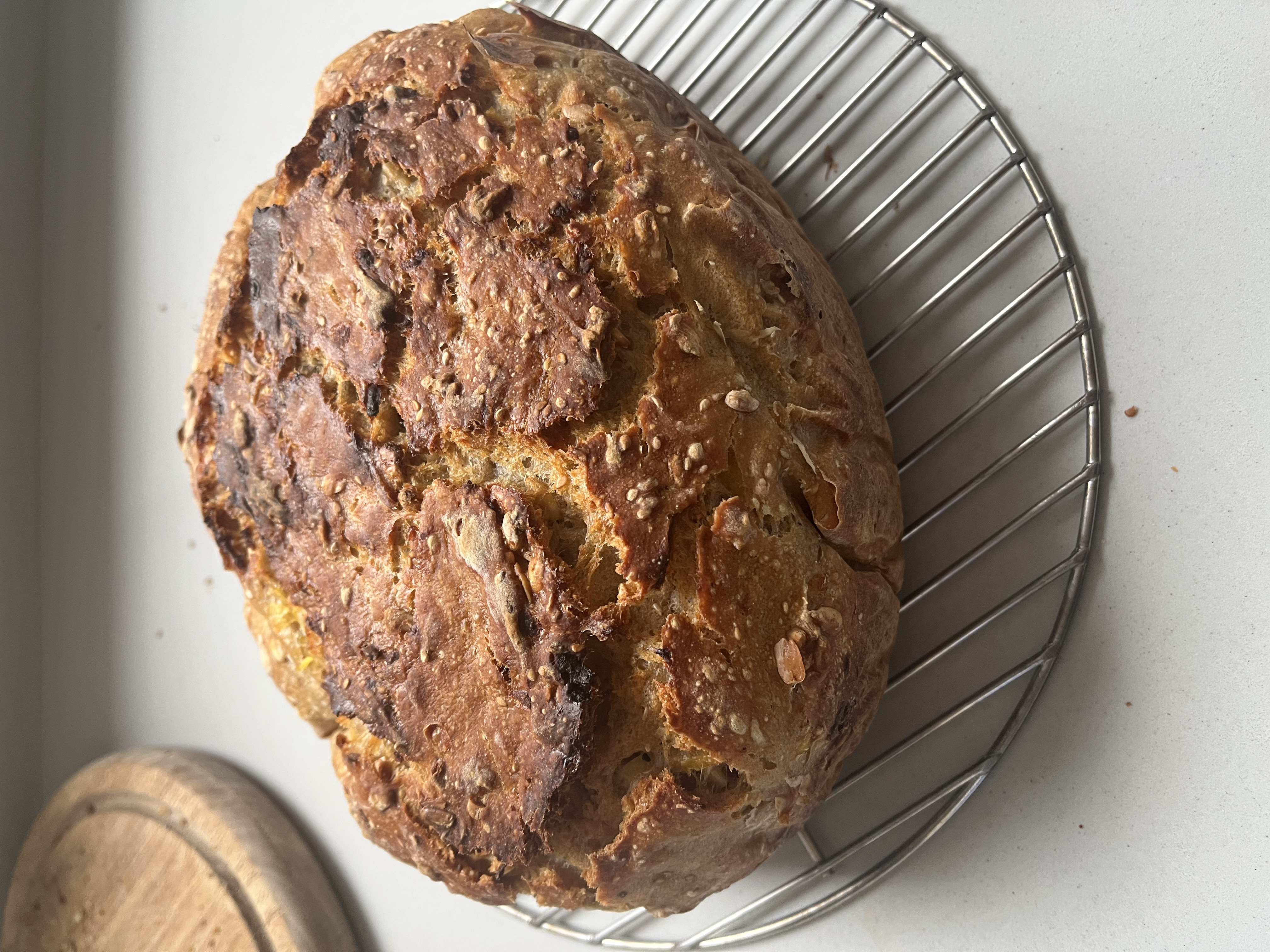 Rundes, knuspriges Brot mit Samen auf Abkühlgitter.