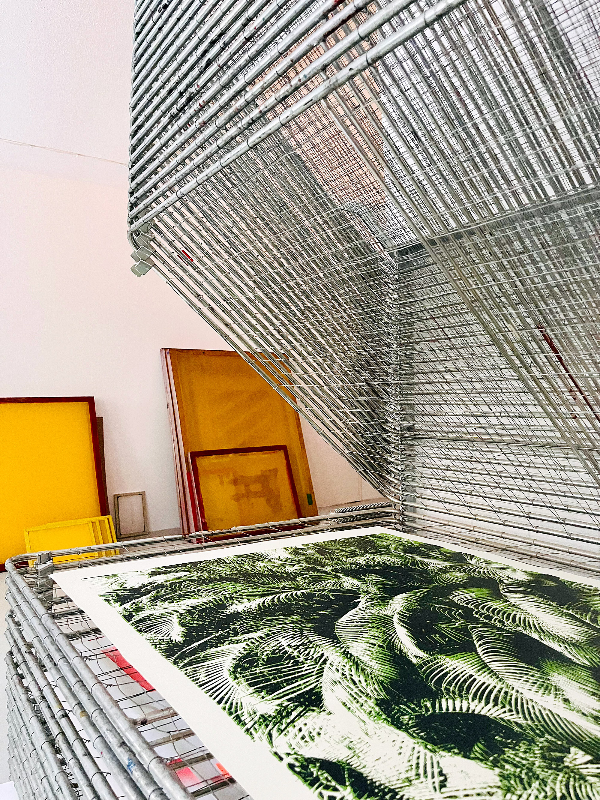 Drying rack with print in art studio.