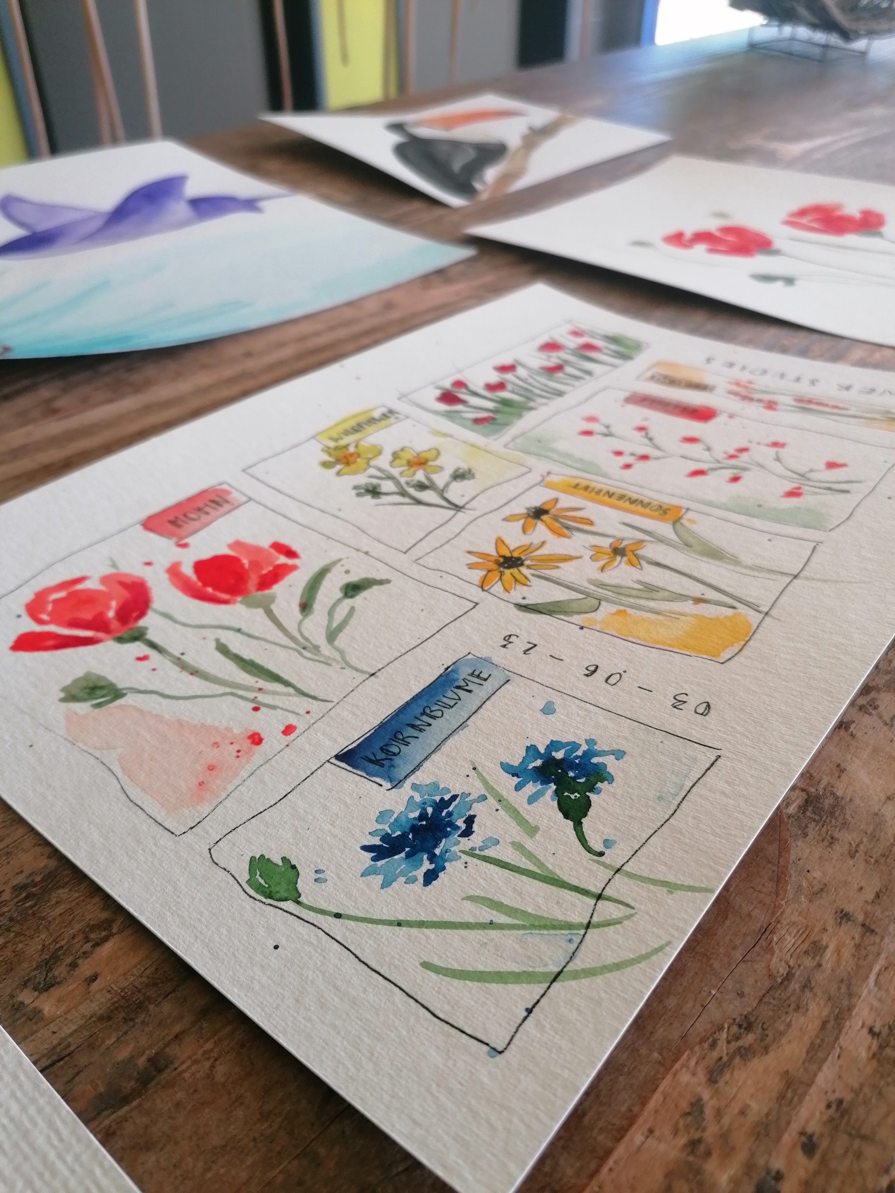 Watercolor sketches of flowers with labels.