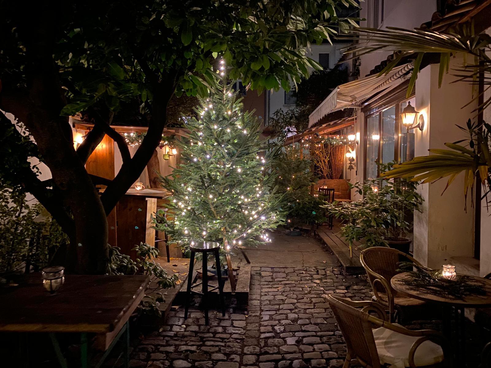 Beleuchteter Weihnachtsbaum in gemütlichem Innenhof.