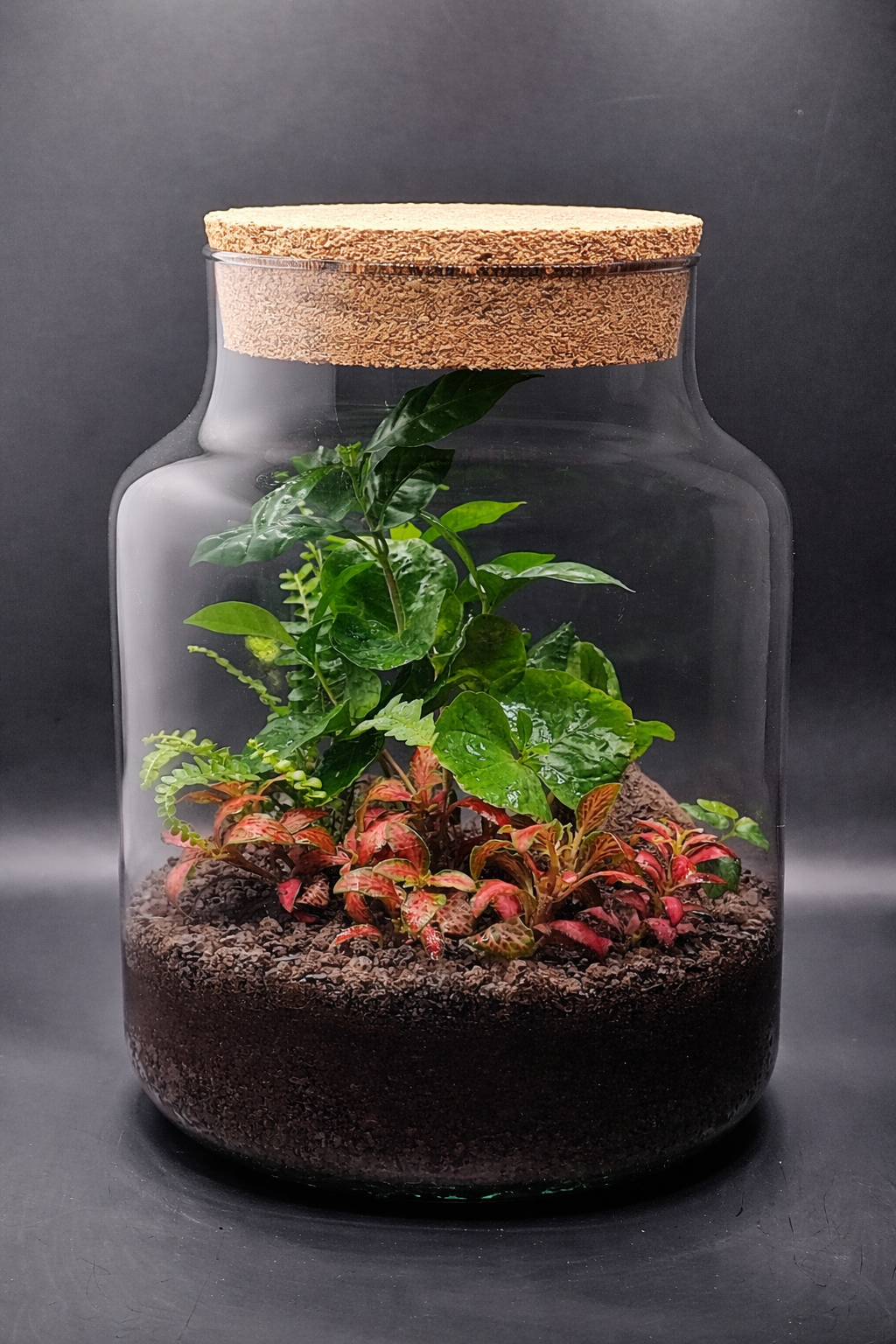 Pflanzenterrarium in einem Glasbehälter.