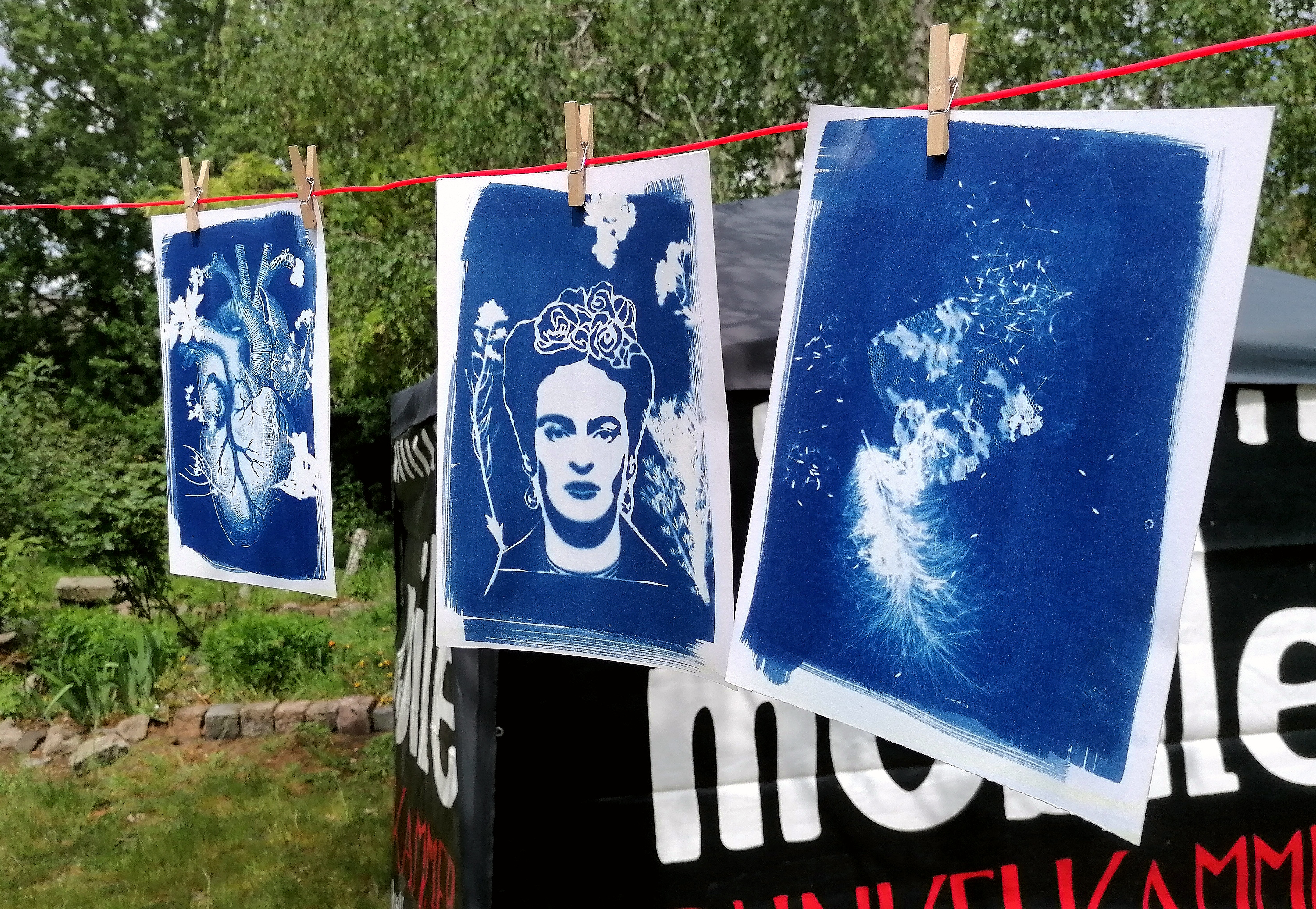 Cyanotype prints hanging on a clothesline outdoors.