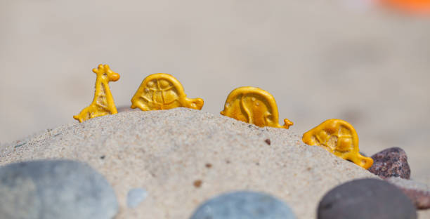 Animal crackers on sand with stones nearby.