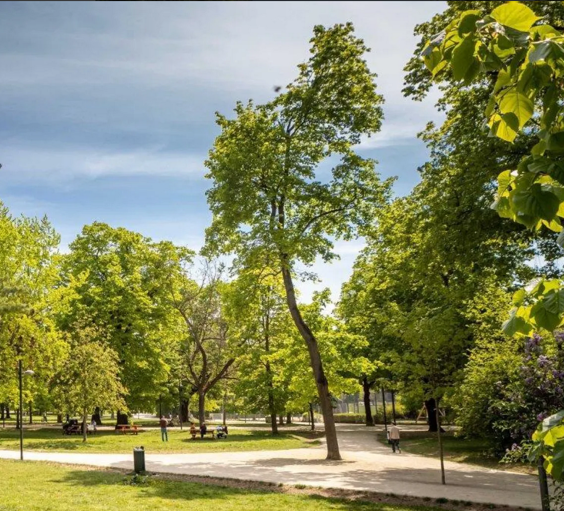 Menschen spazieren im sonnigen Park.