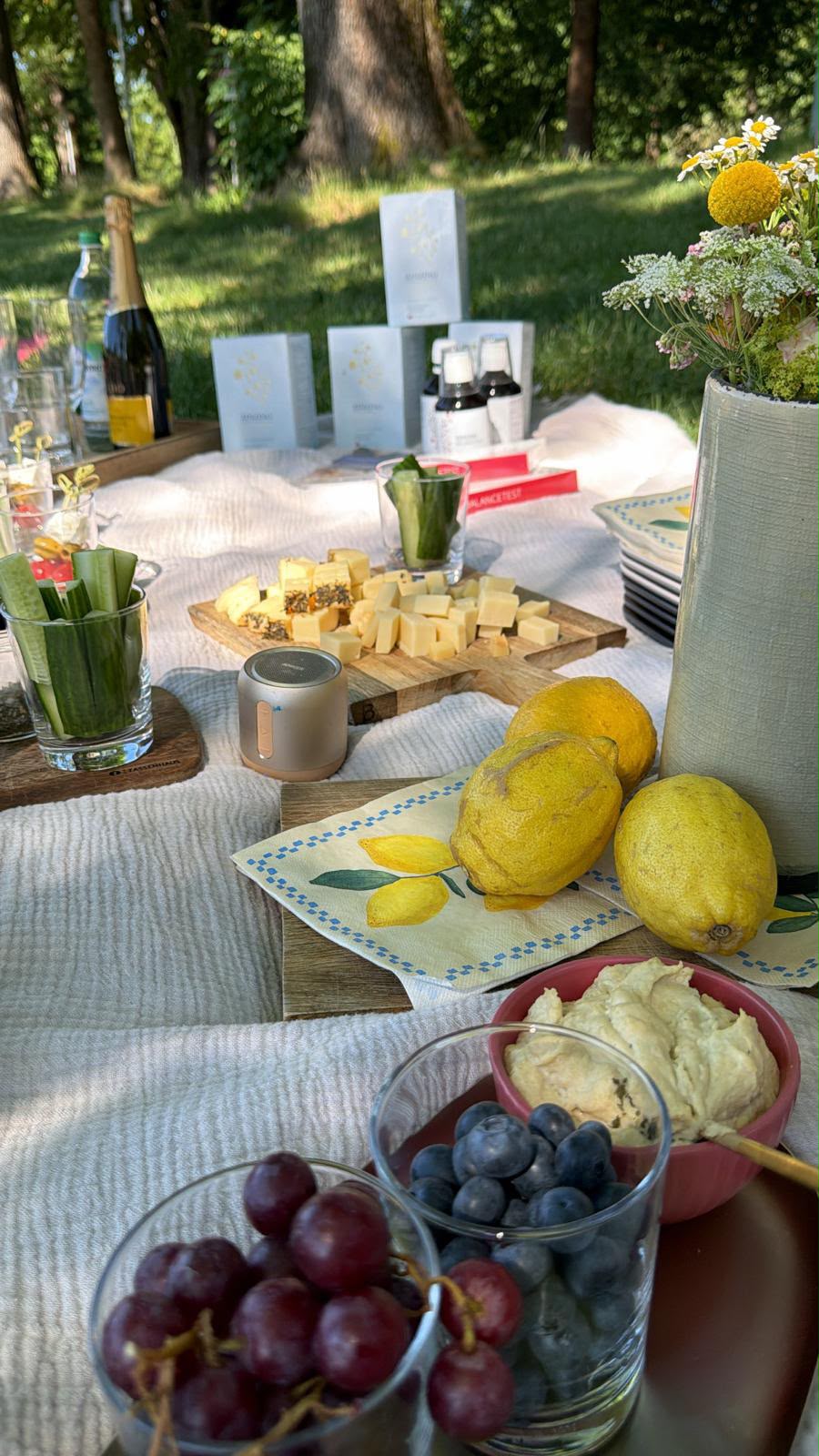 Balance Brunch mit Yoga & Kollagen-Tasting in München