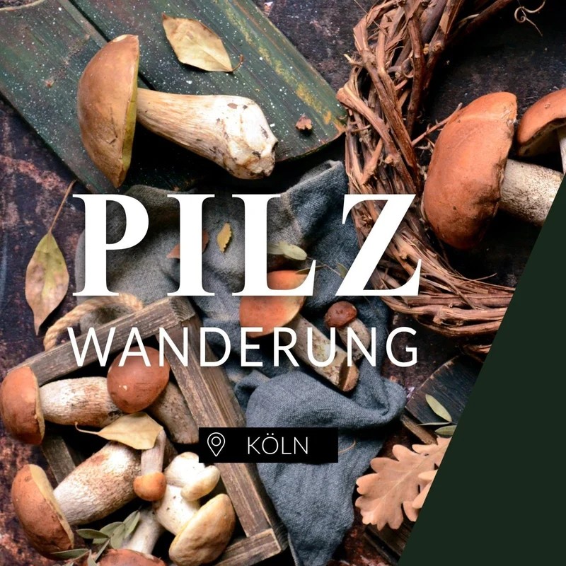Pilze auf Tisch mit Textschild.