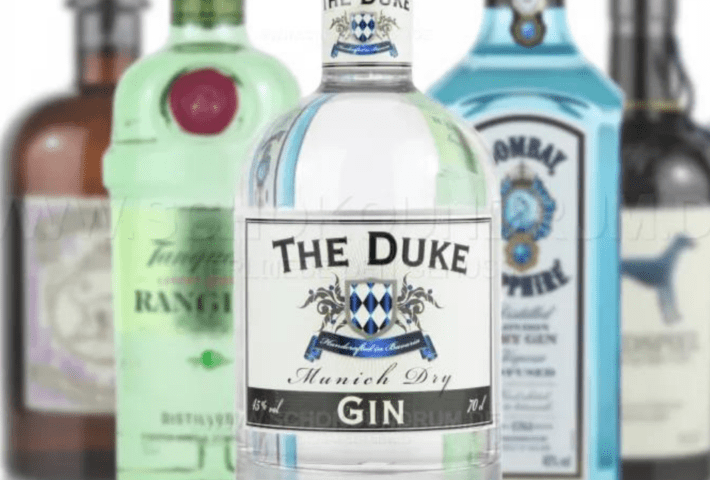 Gin-Tasting mit 6 Tonics & Experte in Düsseldorf