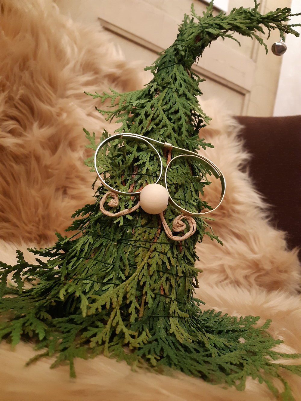 A green plant wears glasses and a wooden ball.