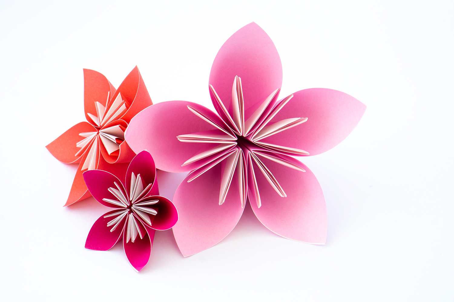 Papierblumen in verschiedenen Farben stehen auf einem weißen Hintergrund.