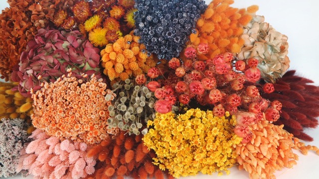 Bunte, getrocknete Blumen liegen auf einem weißen Untergrund.