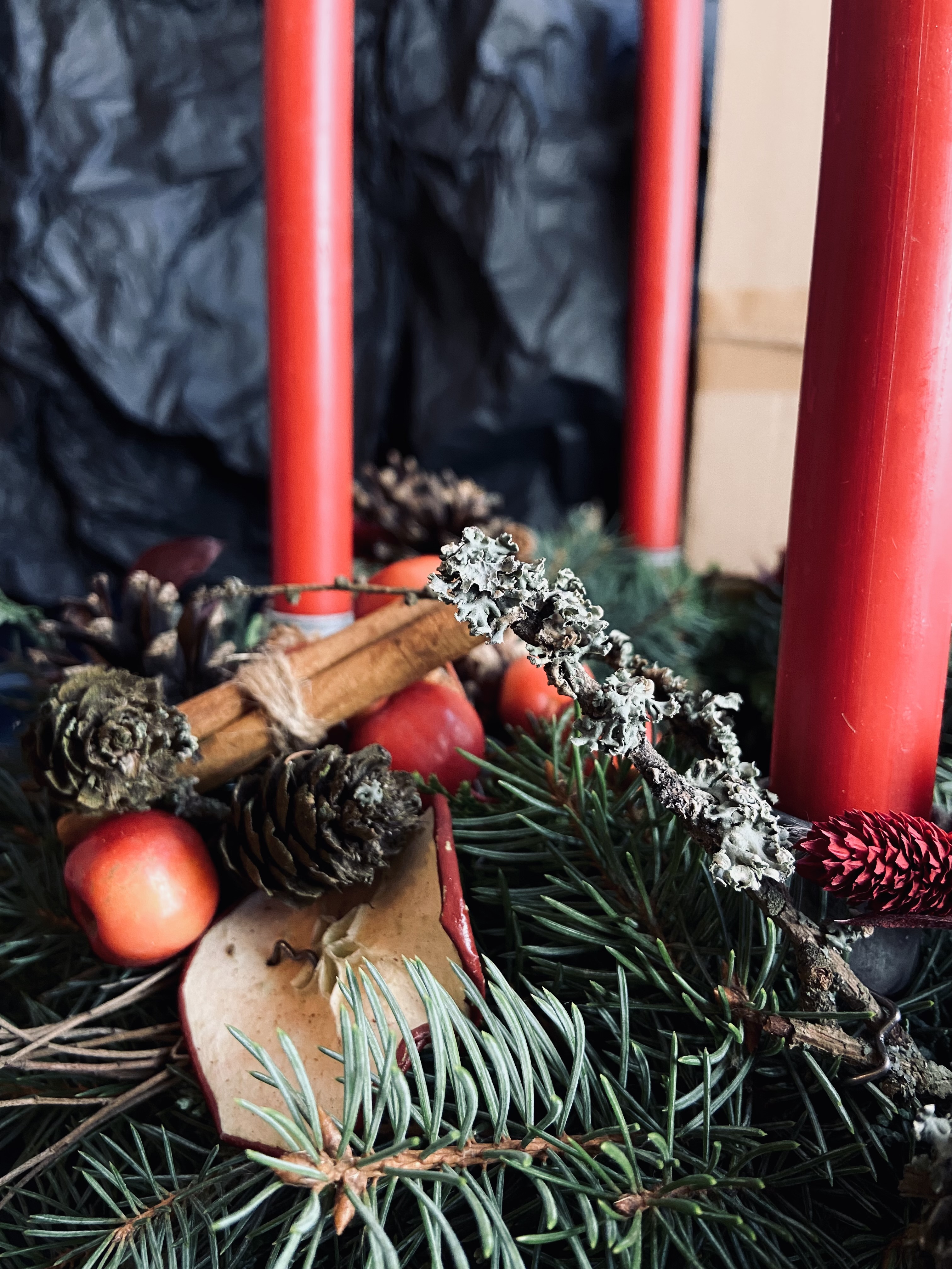 Cinnamon Sticks Christmas Craft