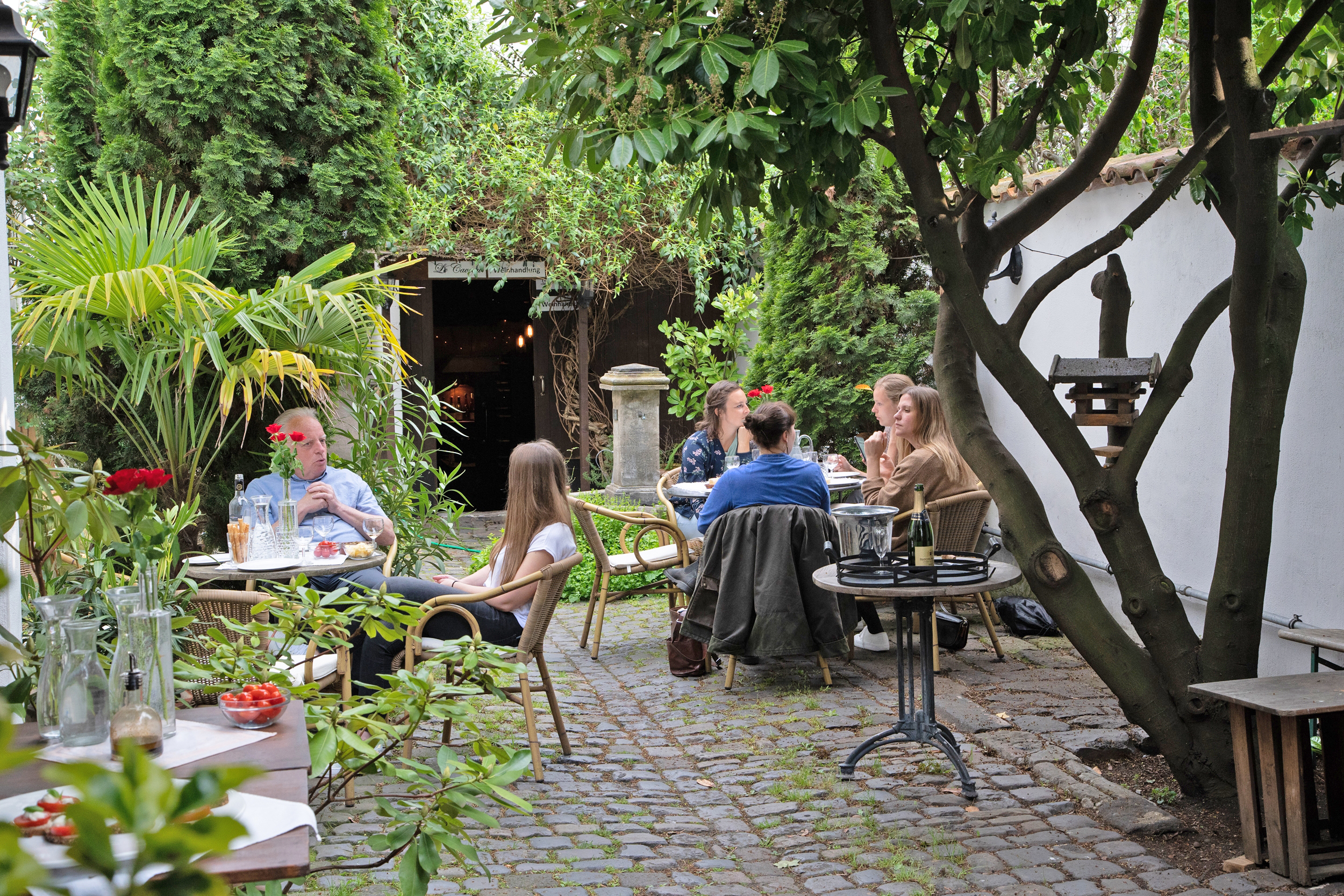 People dining in a leafy garden cafe.