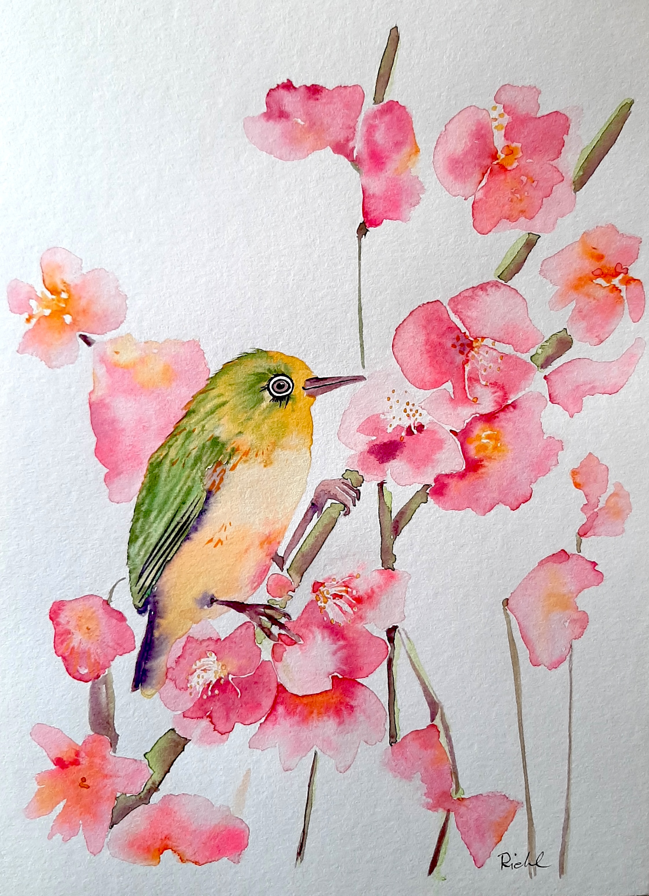 Aquarellkurs: Blumen & Planeten in Köln-Nippes mit Vorlagen
