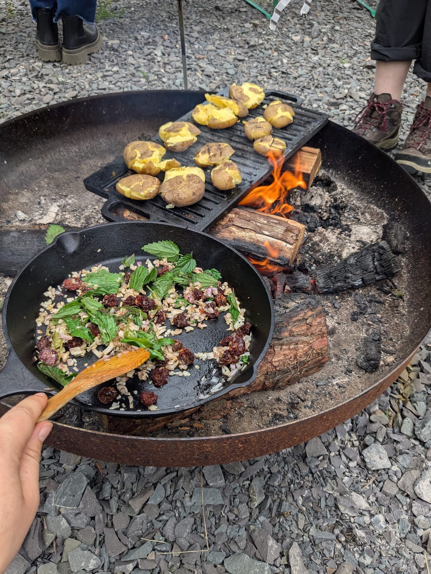Cooking herbs and meat in skillet over campfire.