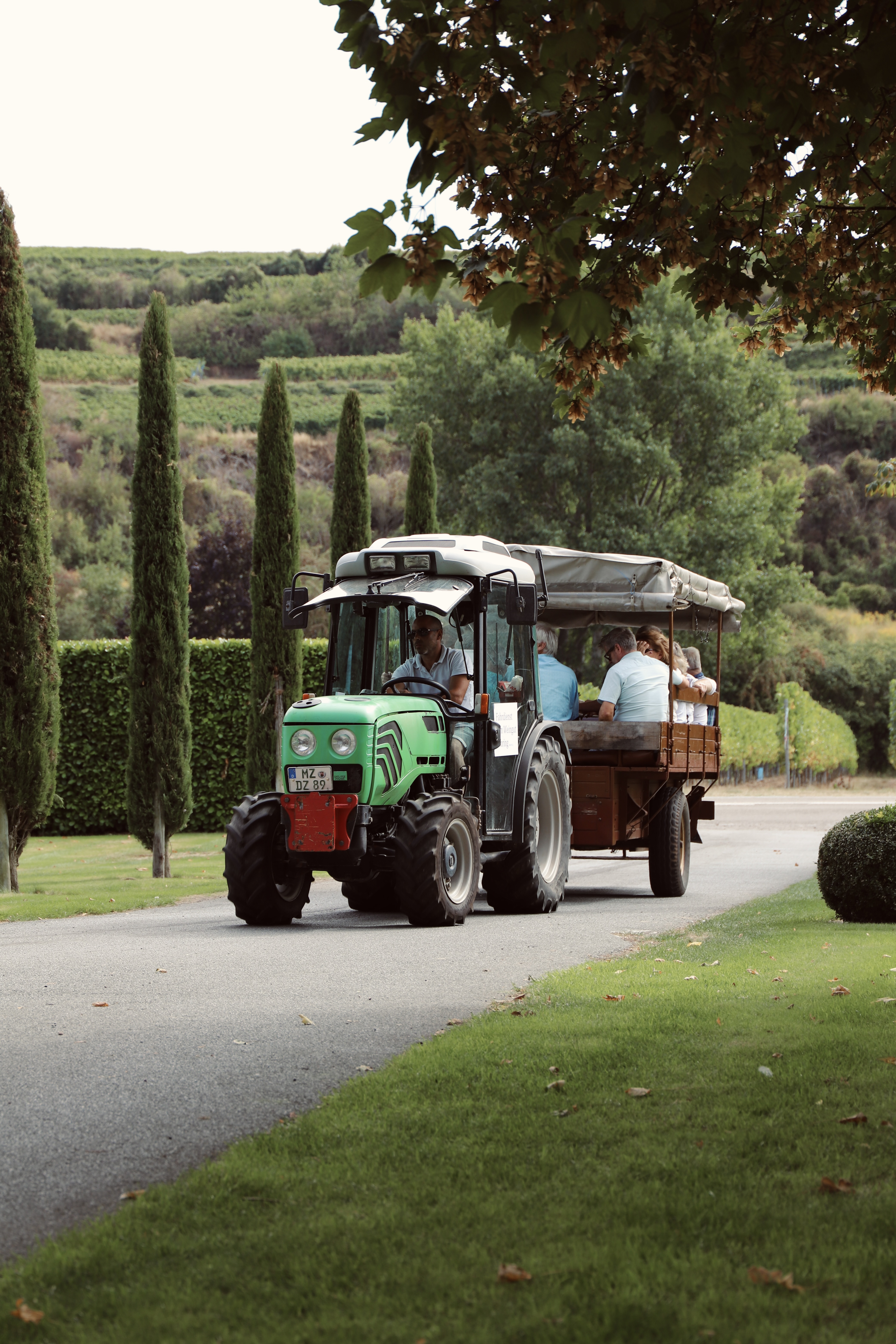 Traktor zieht Wagen mit Passagieren im Weinberg.