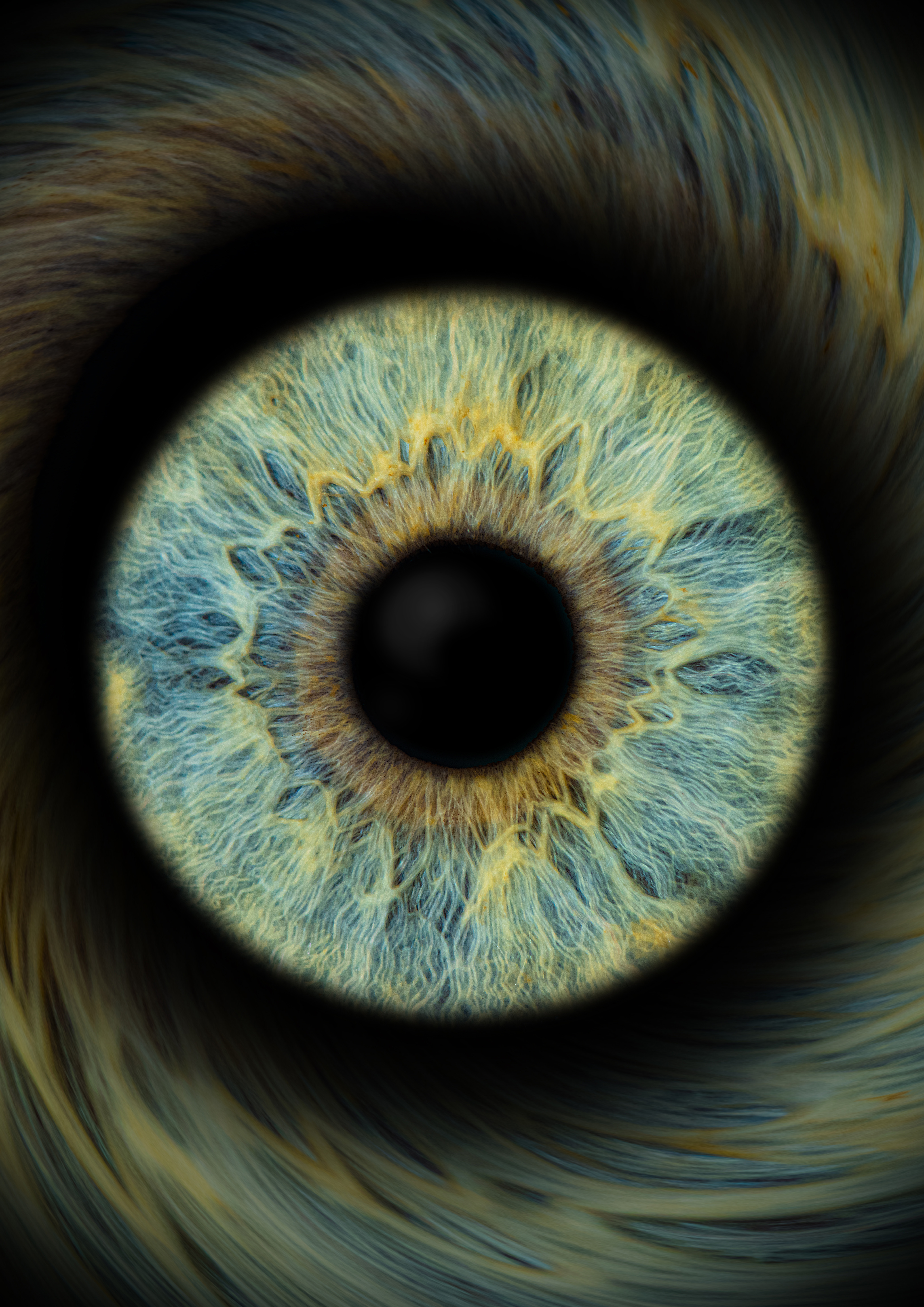 Nahaufnahme einer blau-grünen Iris Auge.