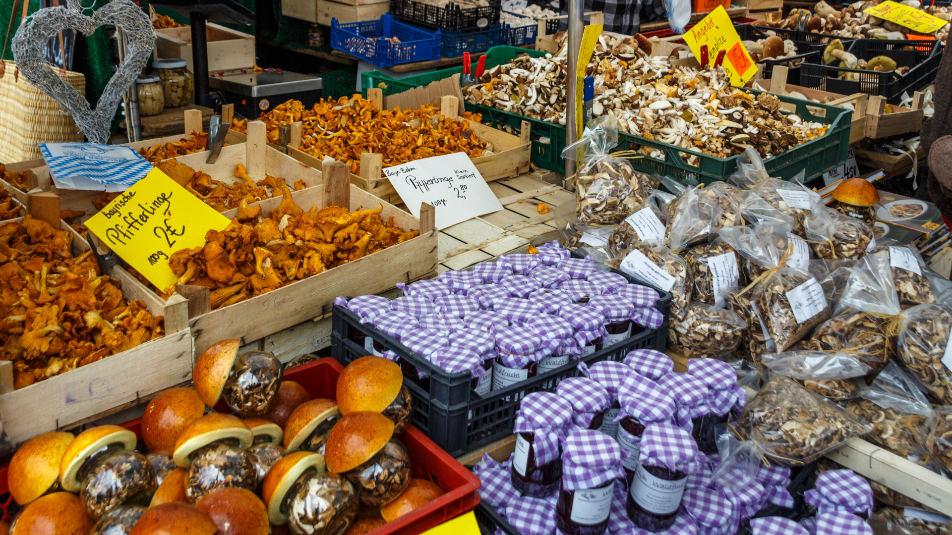 Pilzmarktstand mit verschiedenen frischen Pilzen.